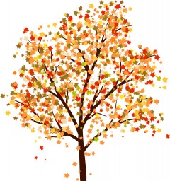 autumn_9_2012_2